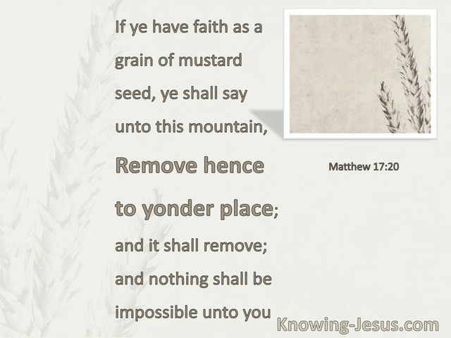 Matthew 17:20 Faith As A Grain Of Mustard Seed (white)